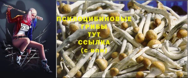 бошки Беломорск