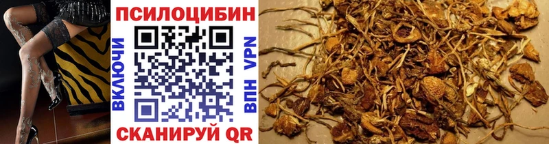 Галлюциногенные грибы Cubensis наркота Волжск