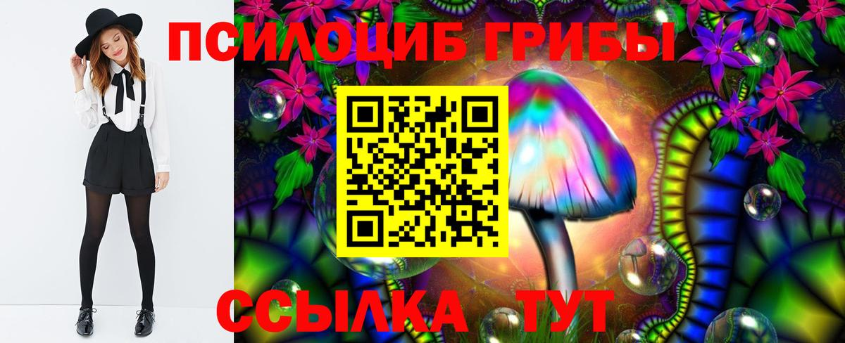 Псилоцибиновые грибы GOLDEN TEACHER Волжск
